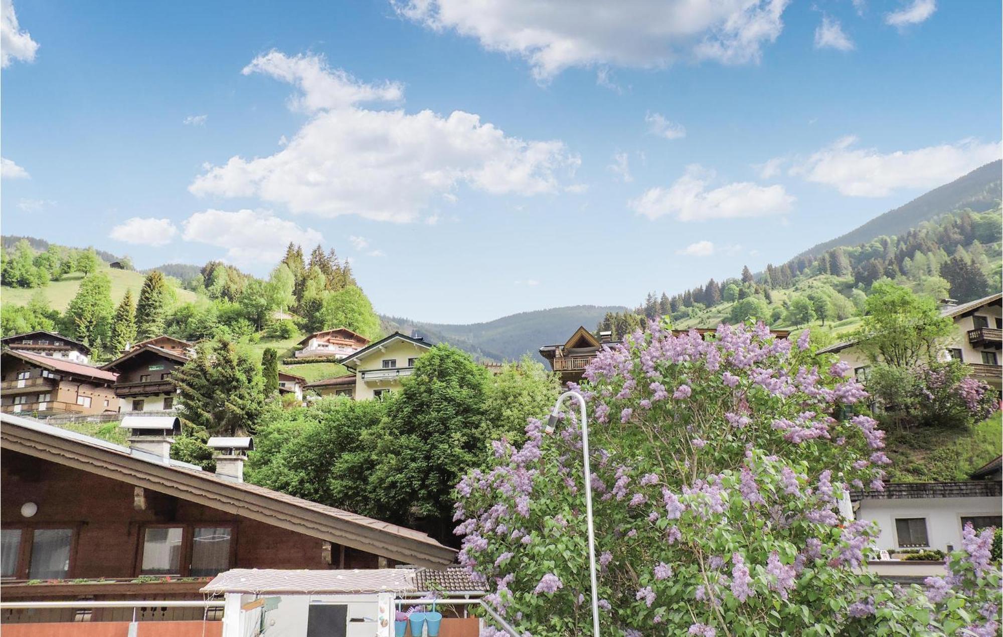 Two-Bedroom Apartment In Viehhofen Dış mekan fotoğraf